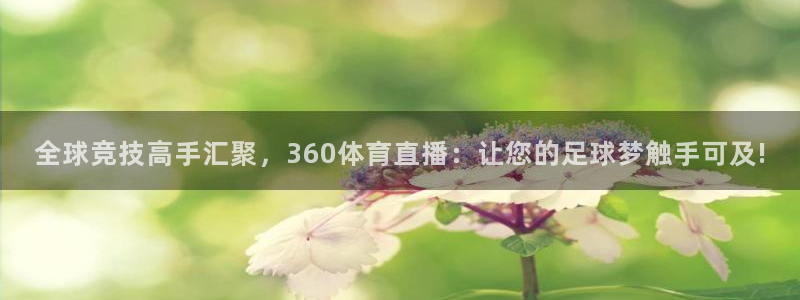 全球竞技高手汇聚，360体育直播：让您的足球梦触手可及!